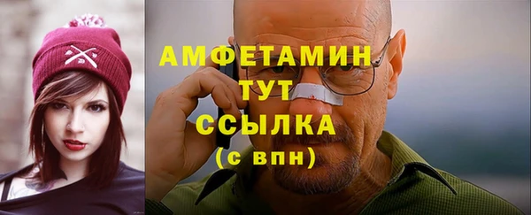 твердый Гусев